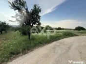 Teren de vânzare în Topoloveni | Zonă liniștită, aproap 