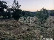 Teren de vânzare în Topoloveni | Zonă liniștită, aproap