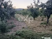 Teren de vânzare în Topoloveni | Zonă liniștită, aproap