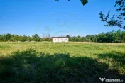 Teren Intravilan 1100 mp + Anexă 120 mp - Budeasa, Calotest 