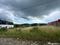 Teren de vânzare – Viișoara, spre Crainimăt | 2.500 mp