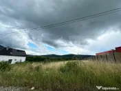 Teren de vânzare – Viișoara, spre Crainimăt | 2.500 mp 