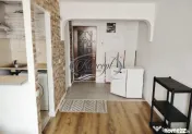 Garsoniera cu loc de parcare in Dambul Rotund 