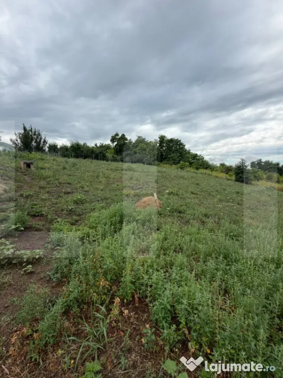Teren intravilan, Dorohoi, 1532 mp, in apropiere de Gradina