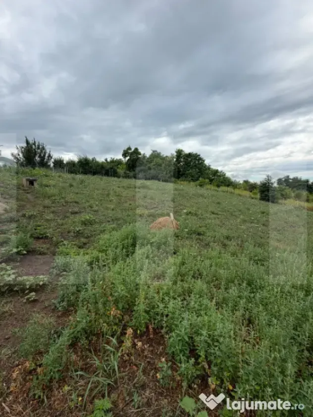 Teren intravilan, Dorohoi, 1532 mp, in apropiere de Gradina