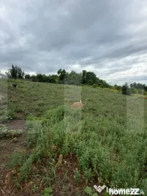 Teren intravilan, Dorohoi, 1532 mp, in apropiere de Gradina