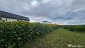 Teren intravilan 2600 mp de vânzare, Ipotești- Lisaura,...