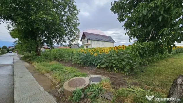 Teren intravilan 2600 mp de vânzare, Ipotești- Lisaura,...