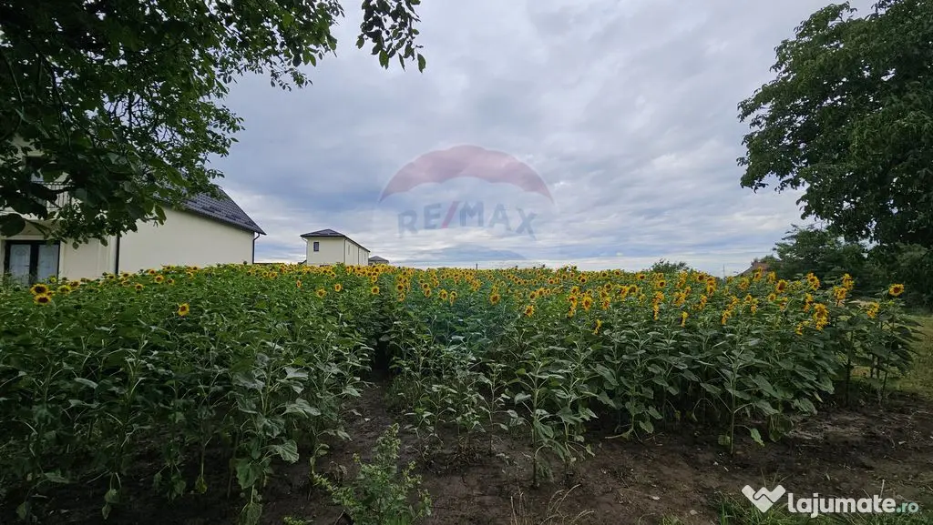 Teren intravilan 2600 mp de vânzare, Ipotești- Lisaura,...