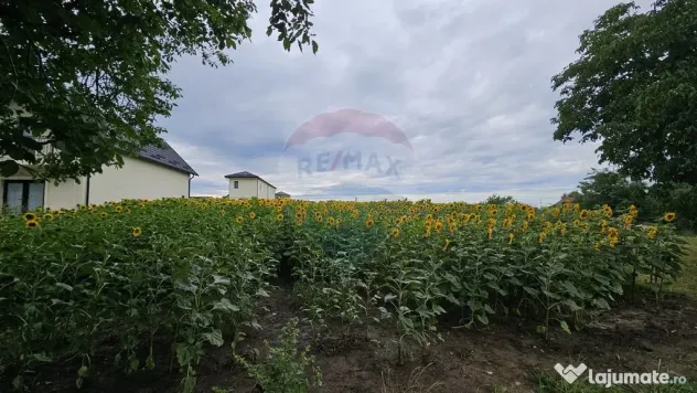 Teren intravilan 2600 mp de vânzare, Ipotești- Lisaura,...