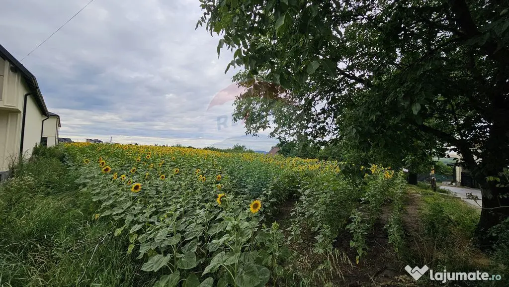 Teren intravilan 2600 mp de vânzare, Ipotești- Lisaura,...