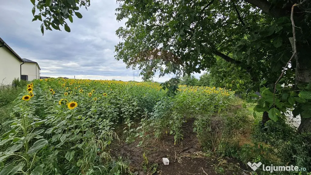 Teren intravilan 2600 mp de vânzare, Ipotești- Lisaura,...