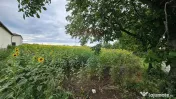 Teren intravilan 2600 mp de vânzare, Ipotești- Lisaura,...