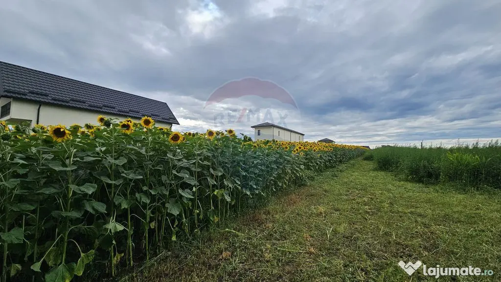Teren intravilan 2600 mp de vânzare, Ipotești- Lisaura,...