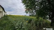 Teren intravilan 2600 mp de vânzare, Ipotești- Lisaura,...