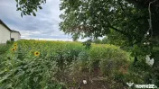 Teren intravilan 2600 mp de vânzare, Ipotești- Lisaura,...