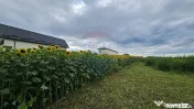 Teren intravilan 2600 mp de vânzare, Ipotești- Lisaura,...