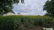 Teren intravilan 2600 mp de vânzare, Ipotești- Lisaura,...