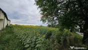 Teren intravilan 2600 mp de vânzare, Ipotești- Lisaura,...