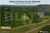 Teren extravilan 13.300 mp în Ciurila | Formă dreptunghiul 