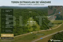 Teren extravilan, 13.300 mp în Ciurila | Formă dreptunghiu