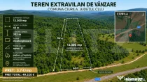 Teren extravilan, 13.300 mp în Ciurila | Formă dreptunghiu