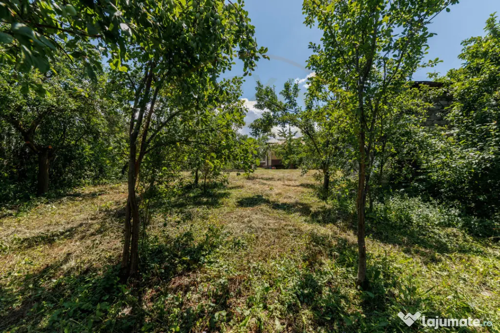 Casa cu teren de 889mp Prundu - Ideala pentru locuit sau dez
