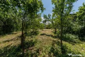 Casa cu teren de 889mp Prundu - Ideala pentru locuit sau dez 