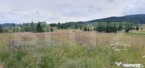 Teren intravilan, 20.105 mp, zona Vatra Dornei
