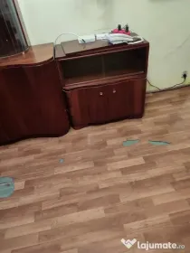 Mobila ieftina și rezistenta