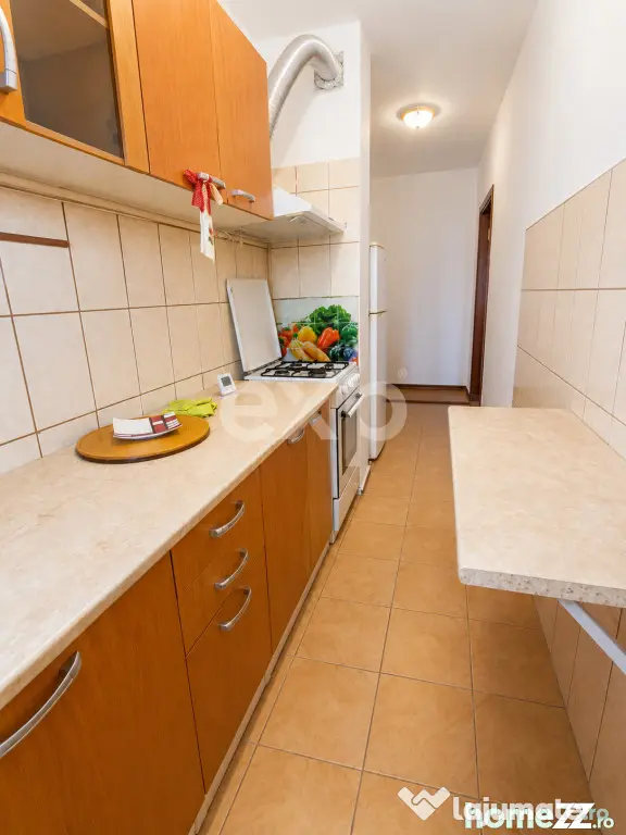Apartament 2 camere | Mobilat | Dambul Rotund