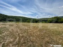 Teren intravilan de vânzare – 592 mp, zona Pădurea Bejan
