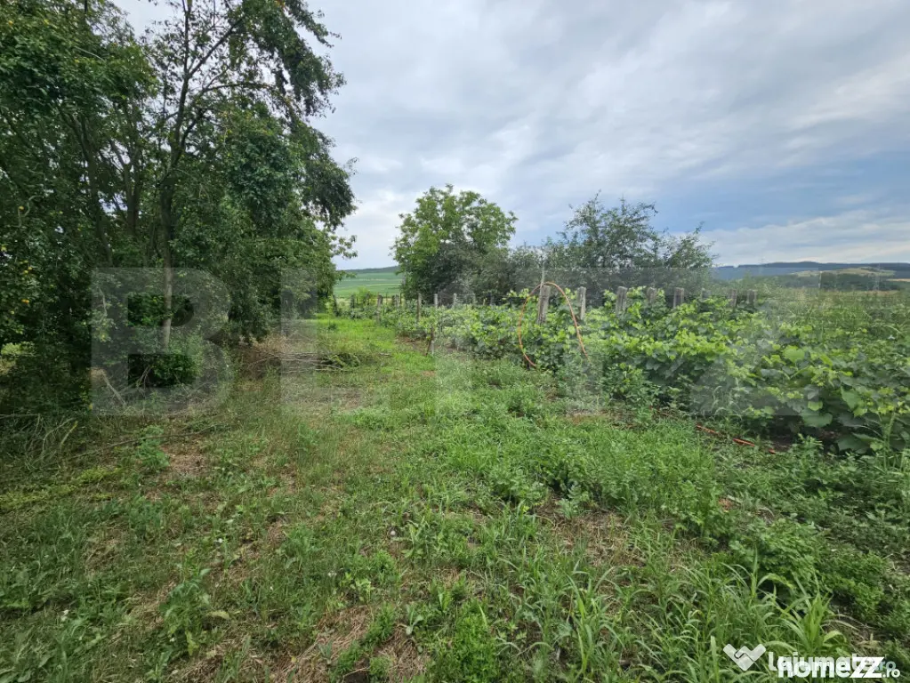 Casă de vanzare, 94 mp, teren intravilan 2.698 mp, Cisteiu