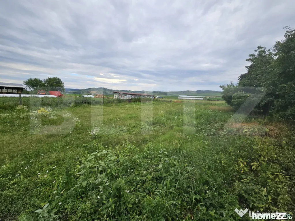 Casă de vanzare, 94 mp, teren intravilan 2.698 mp, Cisteiu