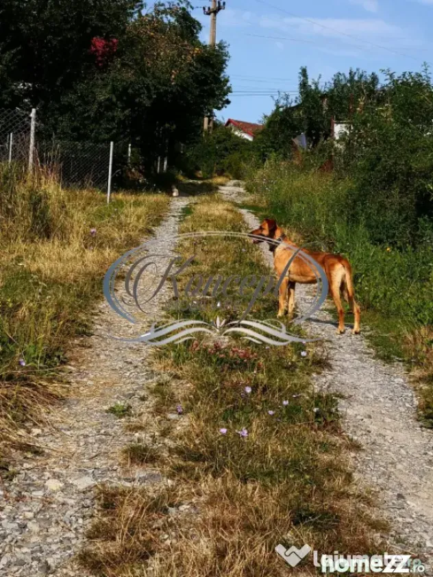 Ciurila, teren 773 mp cu autorizatie de construire - Ciurila (Cluj)