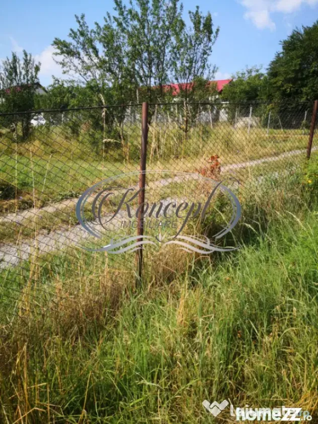 Ciurila, teren 773 mp cu autorizatie de construire - Ciurila (Cluj)