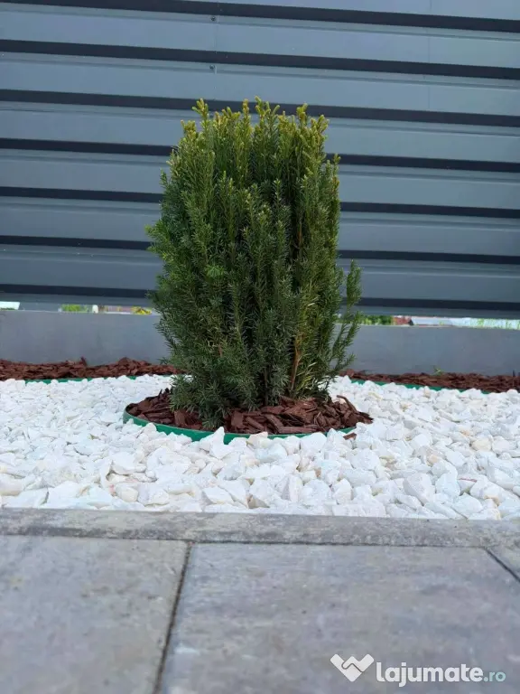 Spartură de Marmură Albă,Piatră Naturală pentru Decor ,Peisagistică