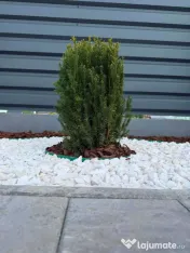 Spartură de Marmură Albă,Piatră Naturală pentru Decor,Peisagistică 