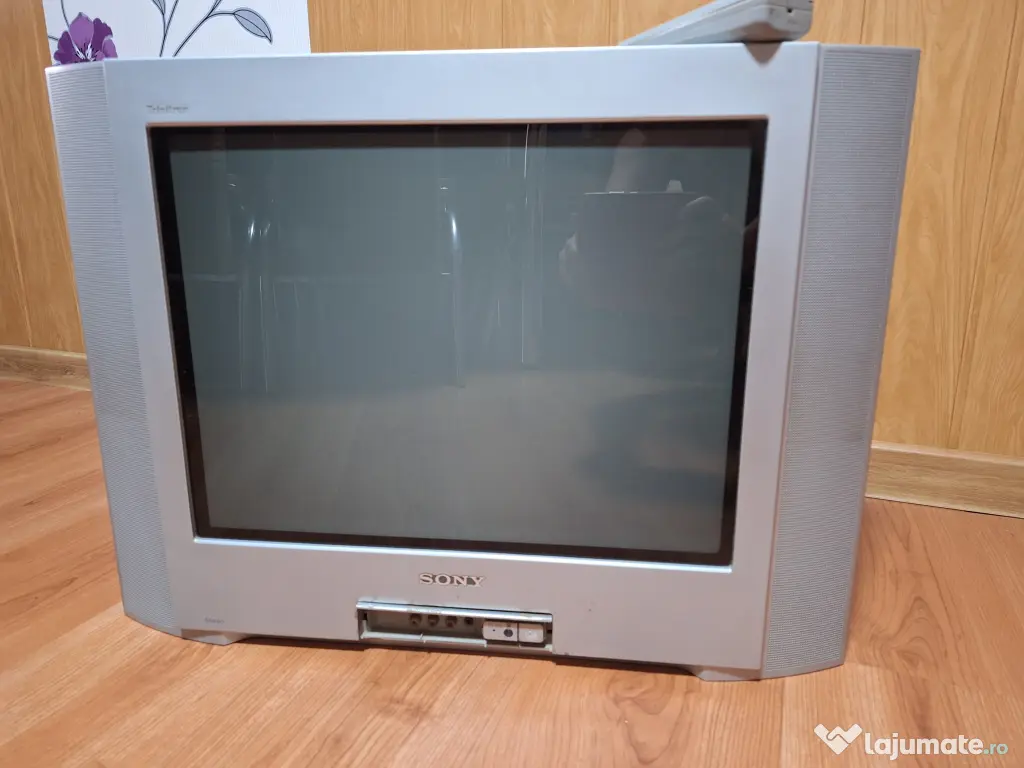 Televizor Sony 2004