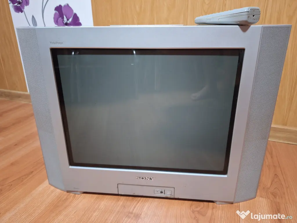 Televizor Sony 2004