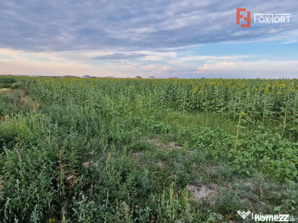 Teren intravilan de 2100 mp de vanzare in Remetea Mare