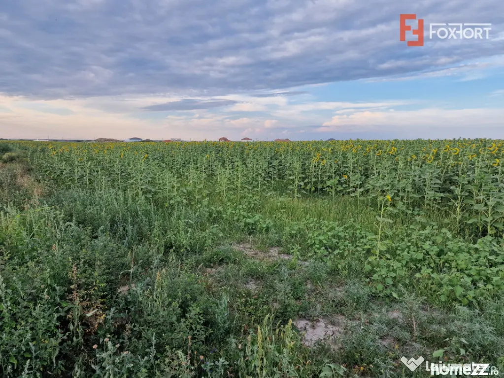Teren intravilan de 2100 mp de vanzare in Remetea Mare