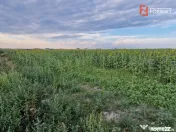 Teren intravilan de 2100 mp de vanzare in Remetea Mare