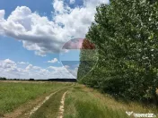 Oportunitate investitie - Potential dezvoltare -Teren 984... 