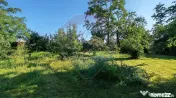 Casă de vânzare | Snagov | Strada Ion C Baicoianu