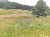 Teren 20000 mp, sat Dalghiu, com Vama Buzaului 