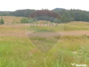 Teren 20000 mp, sat Dalghiu, com Vama Buzaului 