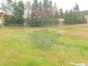 Teren 20000 mp, sat Dalghiu, com Vama Buzaului