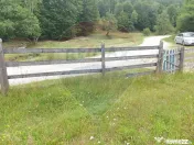 Teren 20000 mp, sat Dalghiu, com Vama Buzaului