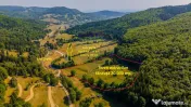 Teren 20000 mp, sat Dalghiu, com Vama Buzaului